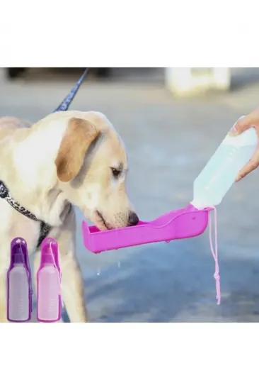 Köpek Suluğu 500 ml