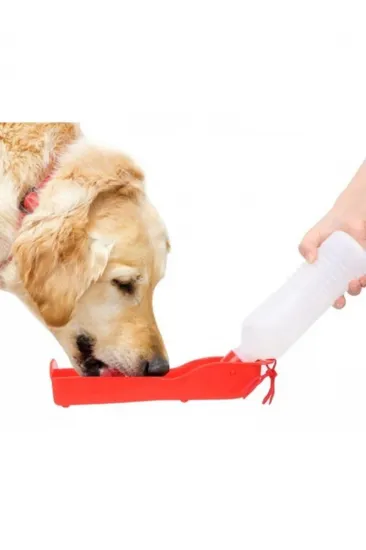 Köpek Suluğu 500 ml