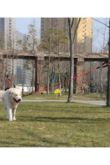 Köpek Gezdirme Halat Tasma Kırmızı Reflektör 130cm